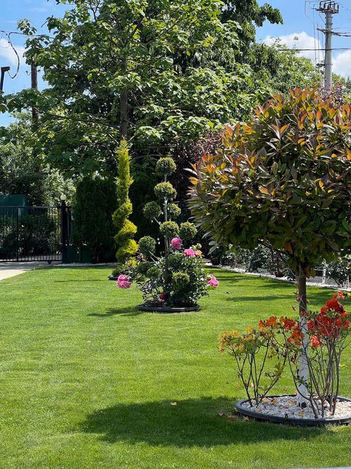 Gradina amenajata 1