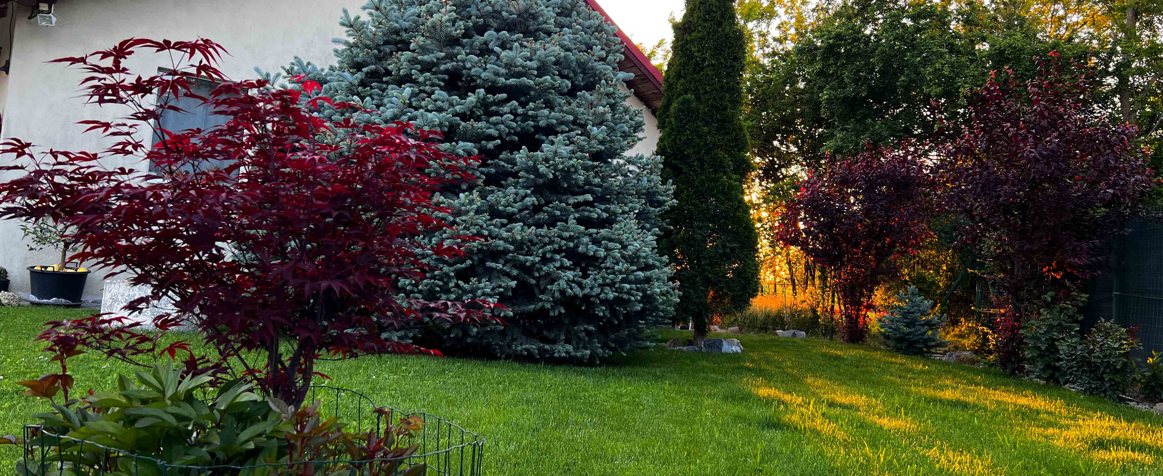 Garden family